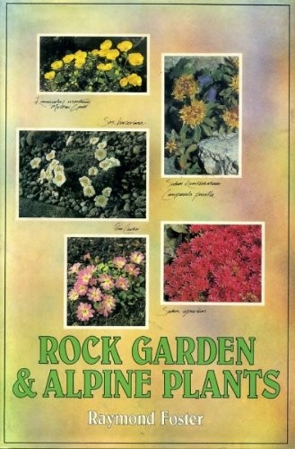 Rock garden and - alpine, plants