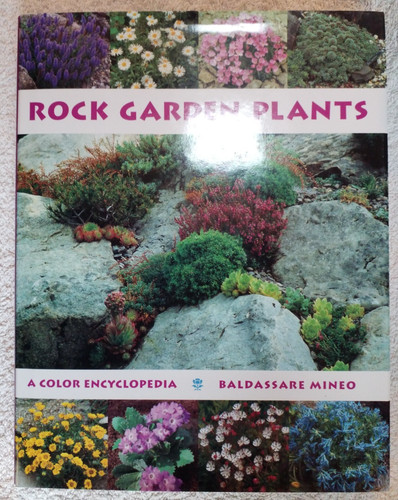 Rock garden plants color - garden, plants:
