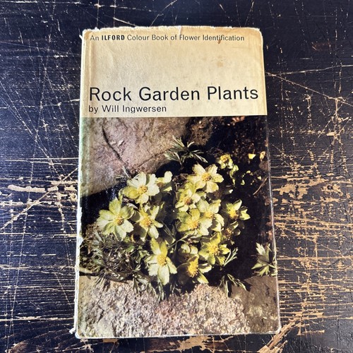 Rock garden plants will - garden,