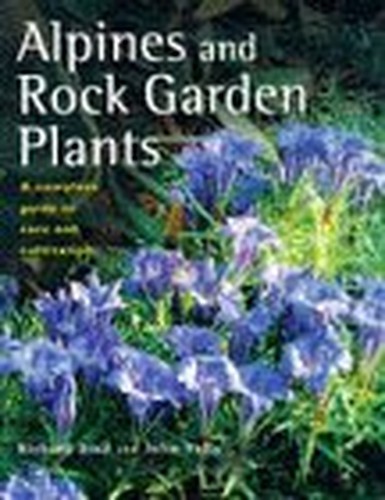 Alpines and rock garden - alpines,