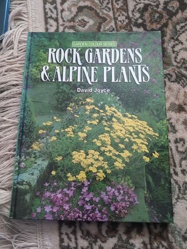 Rock gardens alpine plants - rock,